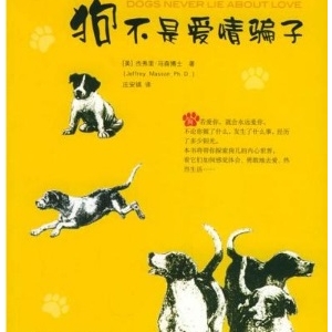 “美閱 讀書”——犬守太平世，梅開如意春