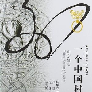 一個(gè)中國村莊：山東臺(tái)頭