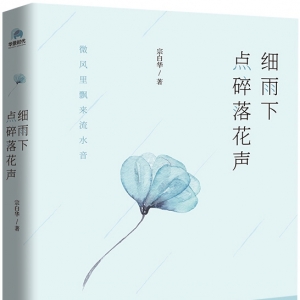 《細(xì)雨下 點(diǎn)碎落花聲》