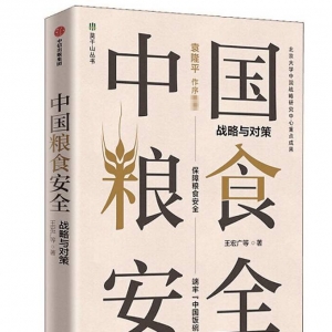 《中國糧食安全：戰(zhàn)略與對策》| “新華書房”2021年第一季度推薦書單 ...