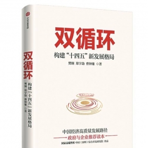 《雙循環(huán)：構建“十四五”新發(fā)展格局》| “新華書房”2021年第一季度推薦書單 ...